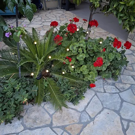 Apartment Centar *